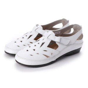 y{v / { / 3Ez B^m[@ VITA NOVA JbeBOfUC RtH[g\tgI[vV[Y iNWHj