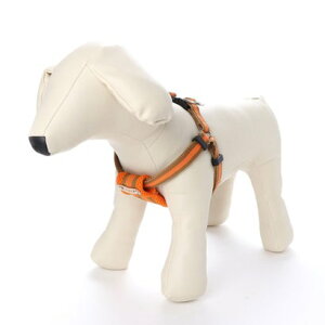 o[fB BIRDIE bZNbVn[lX M E^pցyԕisiz iIWj