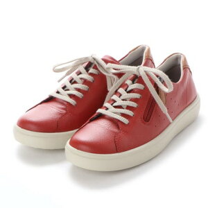 ALXE\{ ACHILLES SORBO JWAt@Xi[tXj[J[ iKj