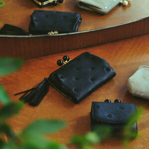 OZ[yP perche ANʂ܌2܂z iubNhbgj