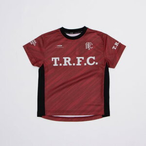 eBS TIGORA WjA TbJ[/tbgT Vc TR-8SW4021TS ibhj