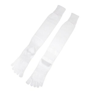 eBS TIGORA Y TbJ[/tbgT XgbLO TR-8SA1129SK izCgj