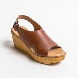 T_ EFbW\[  7cm q[ I[vgD OJT_ xgt C fB[XV[Y wlC { ɂȂ JWA ̓