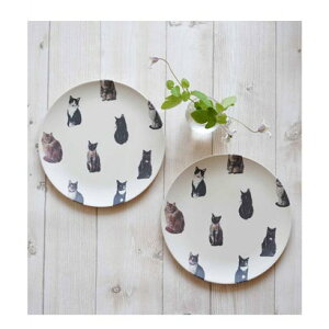 Wr[ Jubilee yAEgbgz yĊȂ GRou[M 2Zbgyԕisiz izCgn̑2j