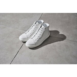 ALXE\{ ACHILLES SORBO U[V[Y izCgj