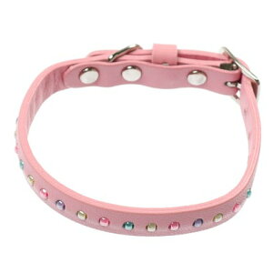 o[fB BIRDIE p[r[YJ[ 21 ^ELpvցyԕisiz isNj