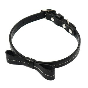 o[fB BIRDIE {Xeb`J[ 25 ^ELpvցyԕisiz iubNj