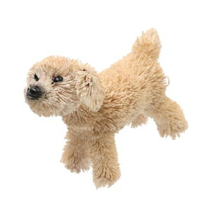 JJ KANKAN 킵Aj} gCv[h izCgj