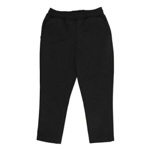 COjI IGNIO WjA W[Wpc hjbgt[XOpc IG-9A45031LP iubNj