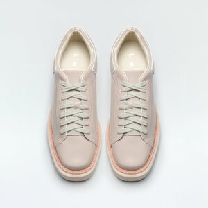 Acrux/ANX iE OakjGiXNGAgEXj[J[