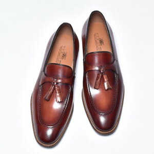 VEX LUCIUS {v^bZ[t@[ io[KfB[j