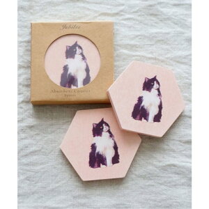 Wr[ Jubilee ]yR[X^[  2Zbg Lbg wLTS isNj