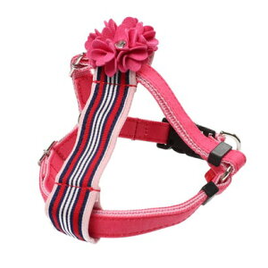 o[fB BIRDIE [bgfjn[lX S E^pցyԕisiz isNj