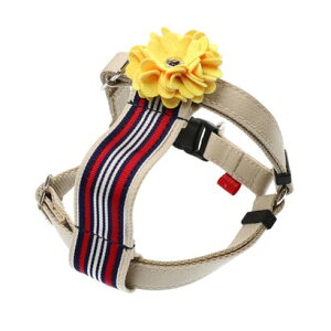 o[fB BIRDIE [bgfjn[lX S E^pցyԕisiz iCG[j