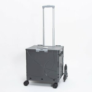 Ahtbg &.FLAT RpNgL[P[X Ranger 36L i_[NO[j