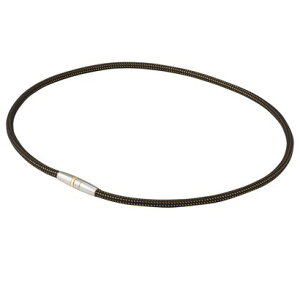 t@Ce Phiten yǗË@z C`^lbNX ^gbv iubN/S[hj