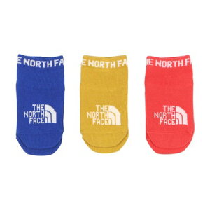 U m[X tFCX THE NORTH FACE WjA gbLO \bNX B Quarter 3P_xr[ NH[^[ 3P NNB82310 i}`J[sXj