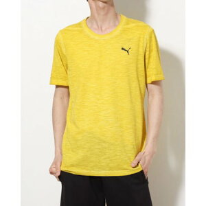 v[} PUMA Y @\TVc M STUDIO FOUNDATION WASH SS TVc_ 523697 itbV sA[j