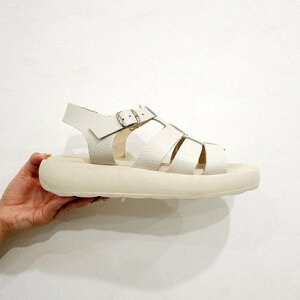 AViKIWT Ȃ \tgOJT_ iItzCgj