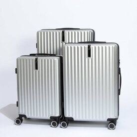 ジオアンドジア GIO&GIA スーツケース 3個セット S/M/L 機内持込 軽量 大型 静音 ダブルキャスター 耐衝撃 360度回転 TSAローク搭載 旅行 ビジネス 出張 （シルバー）