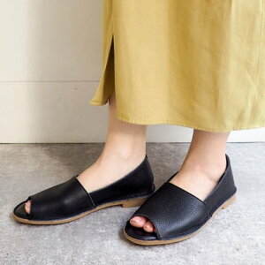 GAViKIWT EN Ȃ I[vgDV[Y iubNj