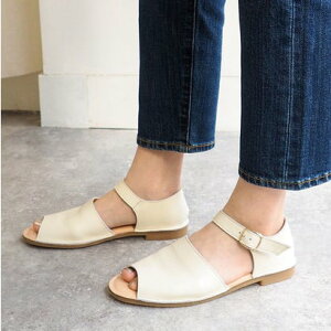 GAViKIWT EN Ȃ I[vgDZp[gV[Y iAC{[j