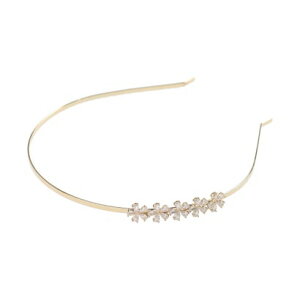 rr BIBI t[`[t J`[V iNA[^S[hJ[j