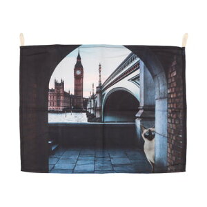 Wr[ Jubilee t@ubN|X^[ ɕiƔLfUC ȋ5j