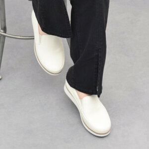 u\ bussola U[Xb|Xj[J[ iAC{[j