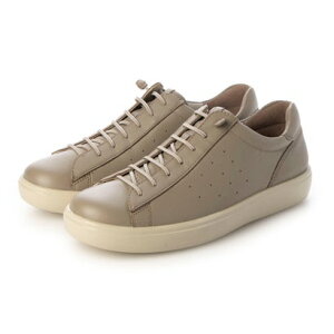 ALXE\{ ACHILLES SORBO SRU[V[Y iI[Nj