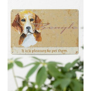 Wr[ Jubilee AeB[N fUC Ǌ|gTC ȋ16j