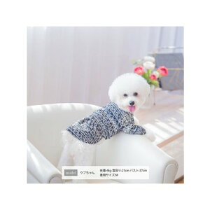 NC[YR[g QUEENS COURT cB[hOP(pj yԕisiz iRj