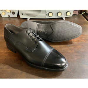 XL_EXTRALIGHT\[ySARTORz OHXg[g`bviubNjAMBUR TROPHY