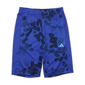 AfB_X adidas WjA V[c g[jO GbZVY V[c LbY IR7525 iVbhu[/_[Nu[/u[o[Xgj