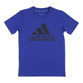 アディダス adidas ジュニア 半袖Tシャツ エッセンシャルズ ビッグロゴ コットン半袖Tシャツ IJ6264 （セミルシッドブルー/レジェンドインク）