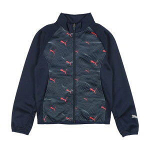 v[} PUMA WjA W[WWPbg ACTIVE SPORTS | tWbv t[fbhWPbg_ 681355 iNu lCr[j