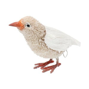 JJ KANKAN 킵Aj} izCgo[hj