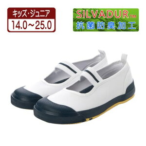 P[YvX K's PLUS 㗚 C XN[V[Y ̈كV[Y J[o[ oGV[Y Sxg R hL L kp_24998 ilCr[j