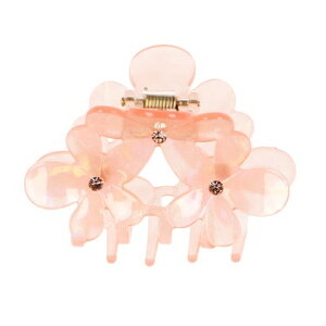 rr BIBI oXNbv (wANbv) iIWnj