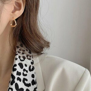 tH[Xg Forcement XNGAEF[ufUCsAX iS[hbigj