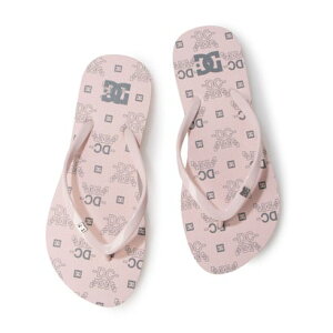 fB[V[V[Y DC SHOES fB[X } r[`T_ SPRAY SE DW241016 iGREY/PINKj