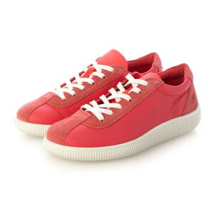 GR[ ECCO GR[ \tg [ Xj[J[ EBY iTEABERRY/TEABERRYj