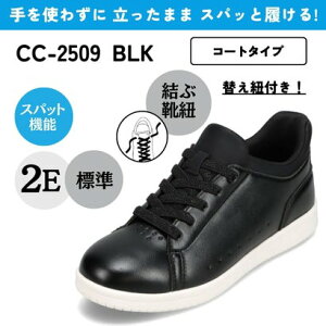 XpbgV[YiR[g^Cvj g킸ɗ CEDAR CREST CC-2509