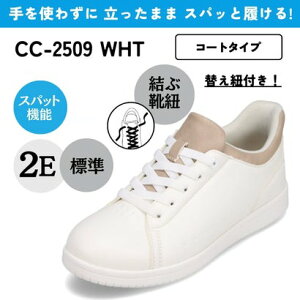 XpbgV[YiR[g^Cvj g킸ɗ CEDAR CREST CC-2509