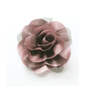 hXvX DRESS+ ANZT[ u[` RT[W  傫  isNx[Wj