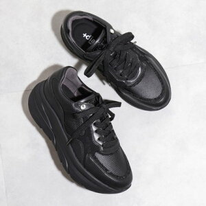 vX_CAi {diana yyʁz_bhXj[J[ ilHX[Xj