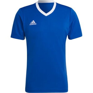 AfB_X adidas adidas AfB_X TbJ[ TbJ[EFA ENTRADA22 W[W[ Vc ZG486 i`[ROYBLUj