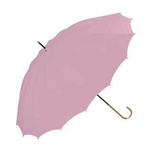 yWpc.zJP 16{\bh e55cm ɋ 16{P  P fB[X P    ʋ ʊwisNj