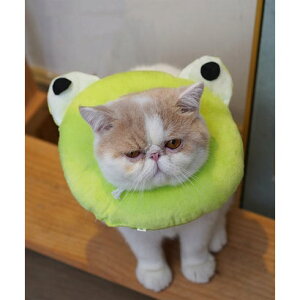 ACn aimoha ybgpGUxXJ[yԕisiz iO[j