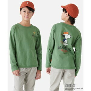 Nt C[ KRIFF MAYER Xk[s[vg郍T(WALK)i140`170cmj iL/GREENj